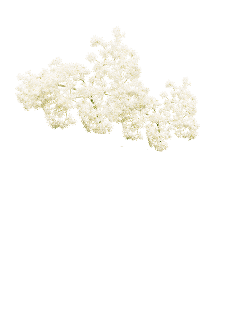 product cover image